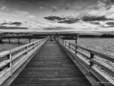 The Pier Black and White