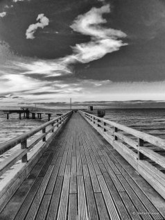 The Pier Black and White